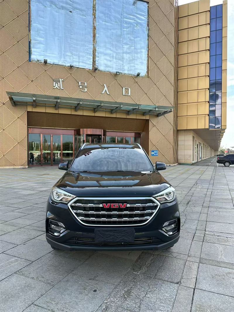 冷门车型特价出售 2020年 重汽VGV 